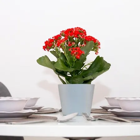 Joannas Central Apartment Kim1 Διαμέρισμα *